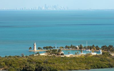 7 Free Things to Do in Miami with Students