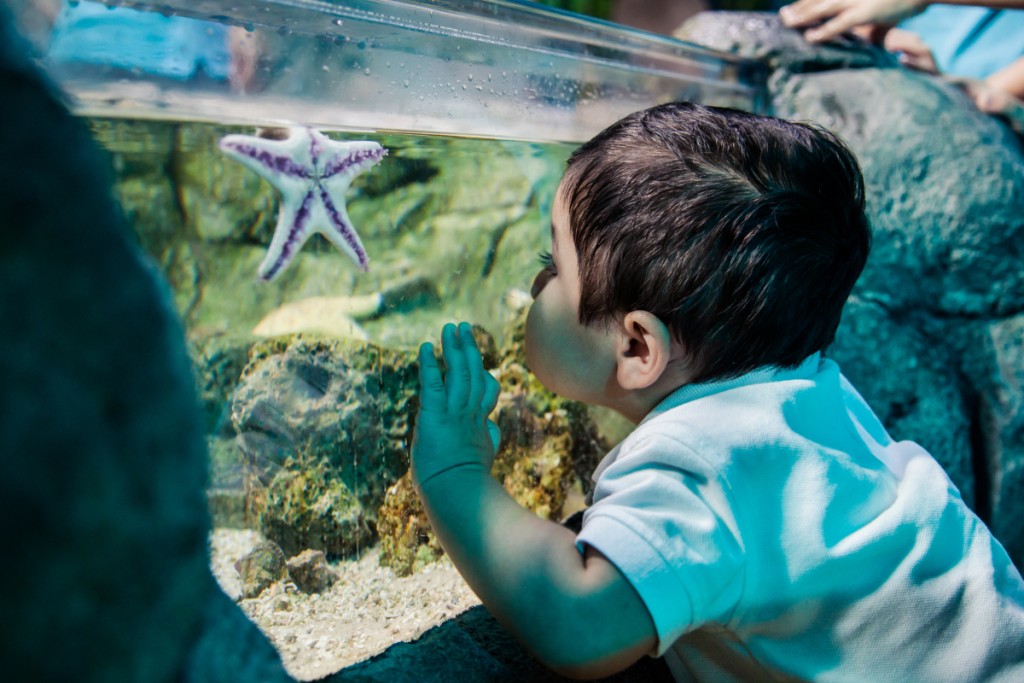Child_Seastar