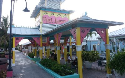 Learning in Paradise: Bring Your Students to the Bahamas