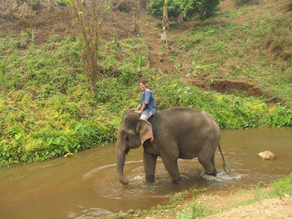 Photo Credit: Carla B