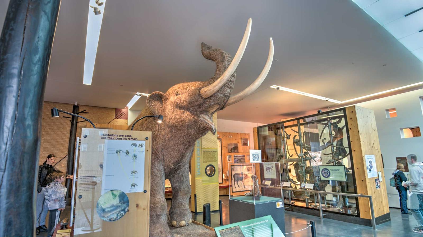 Cranbrook Institute of Science