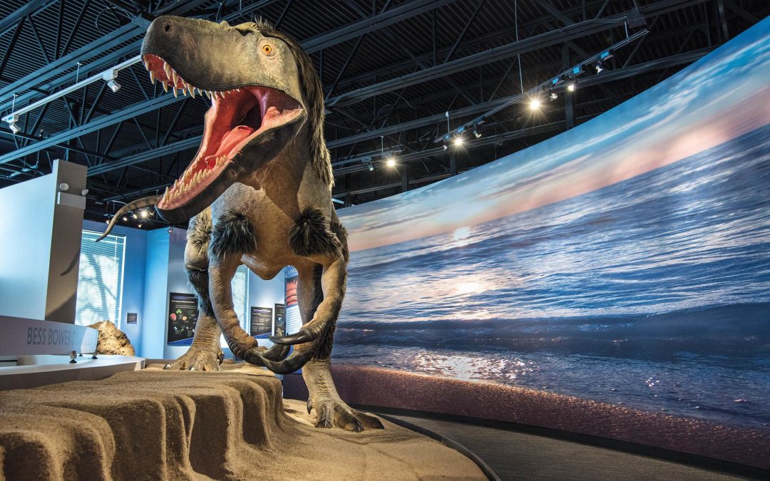 Enjoy an Unforgettable Experience in Lake County