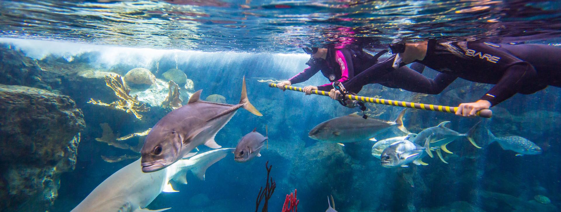 Visit Tampa Bay Florida Tourism