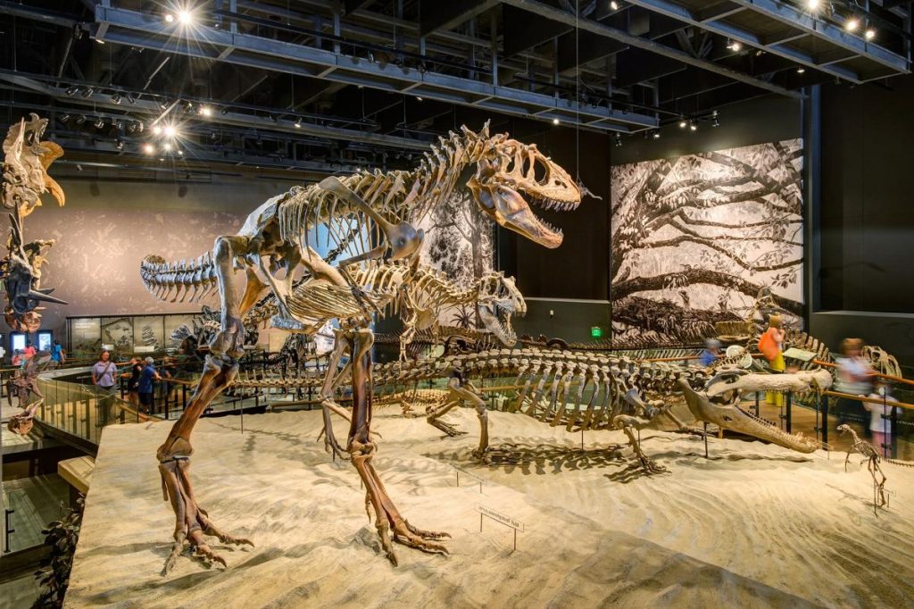 Natural History Museum, Credit Visit Utah 
