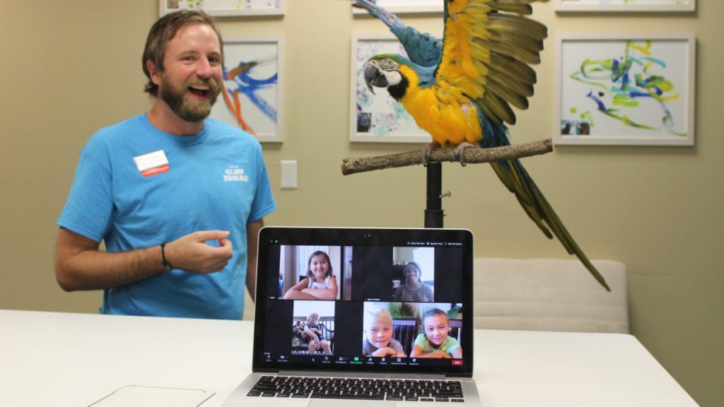 Virtual Field Trips at the Houston Zoo