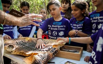 Sustainability Field Trips for Students Interested in the Environment