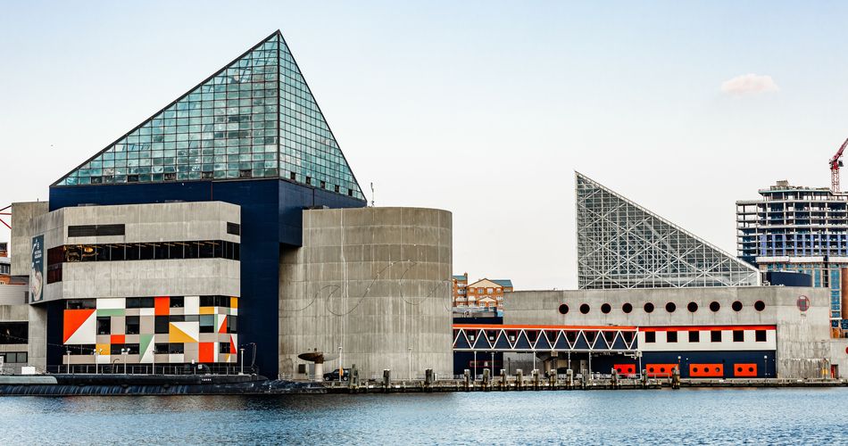 Field trip to National Aquarium in Baltimore