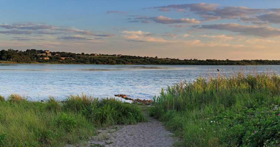 Sachem Pond field trip idea