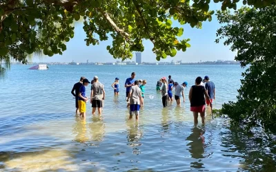 Seven Top Student Travel Providers