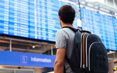 Student Field Trip Problems and Solutions