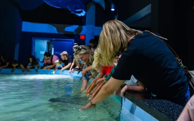 Virginia Beach is for Students