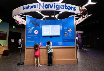 Morehead Planetarium and Science Center Natural Navigators exhibit. photo credit Morehead Planetarium and Science Center Facebook page
