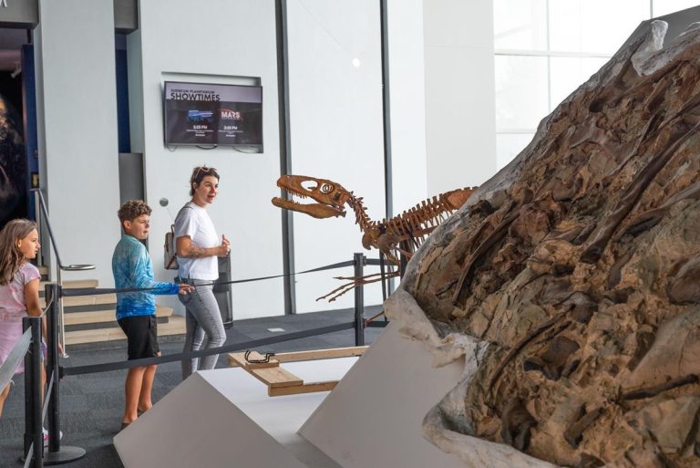 Adventure Science Center in Tennessee Fossil Frontiers exhibit. photo credit Adventure Science Center Facebook page 768x513