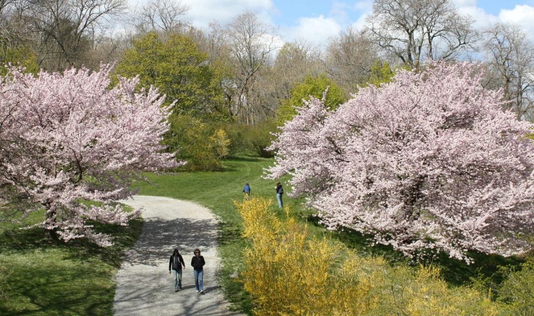 Top Field Trips in Massachusetts: History, Arts & STEM for Students