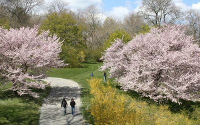 Top Field Trips in Massachusetts: History, Arts & STEM for Students