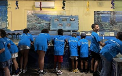 Biomes Marine Biology Center