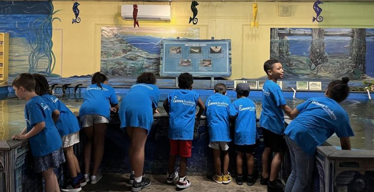 Biomes Marine Biology Center in Rhode Island Photo credit biomescenter.comefield trips 768x394