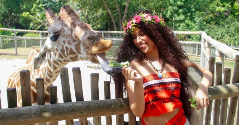 Chattanooga Zoo in Tennessee themed day at the Zoo. photo credit Chattanooga Zoo Facebook page 768x403