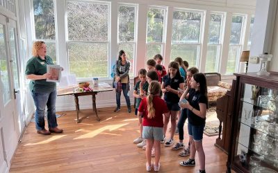 Chinsegut Hill Historic Site