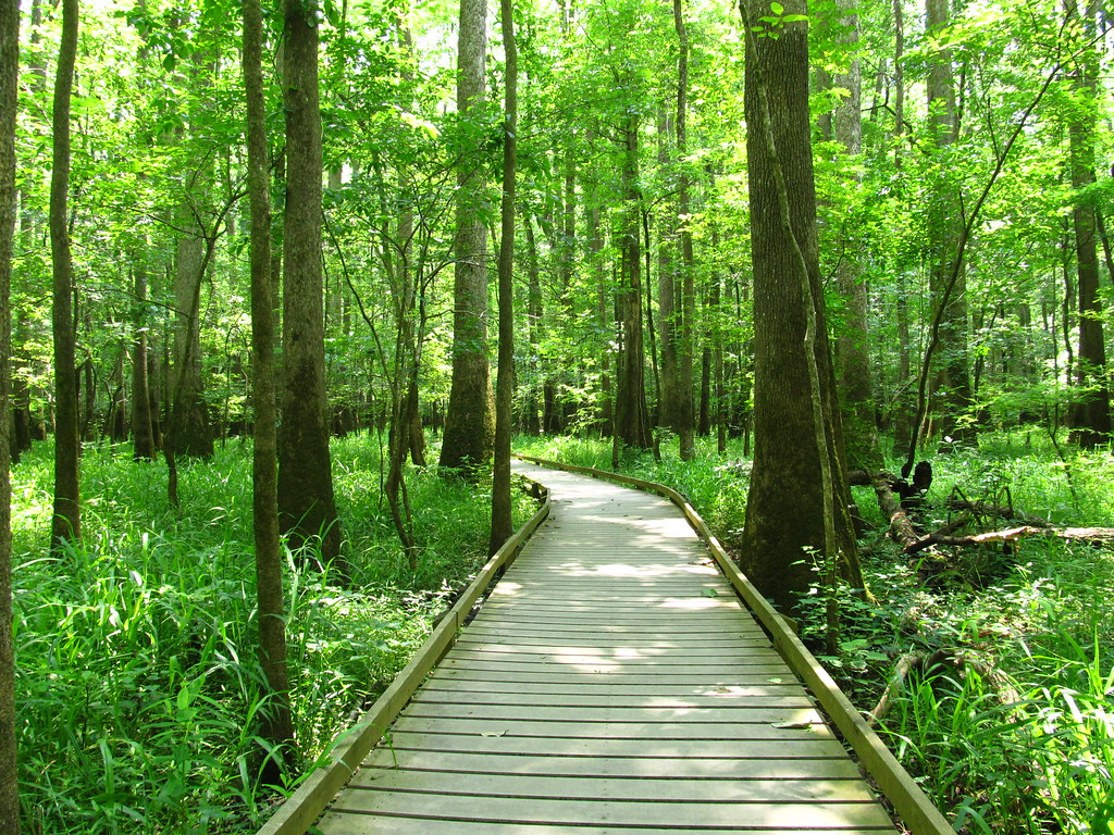 Congaree National Park South Carolina