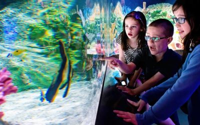 Cook Museum of Natural Science