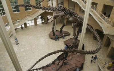 Fernbank Museum of Natural History