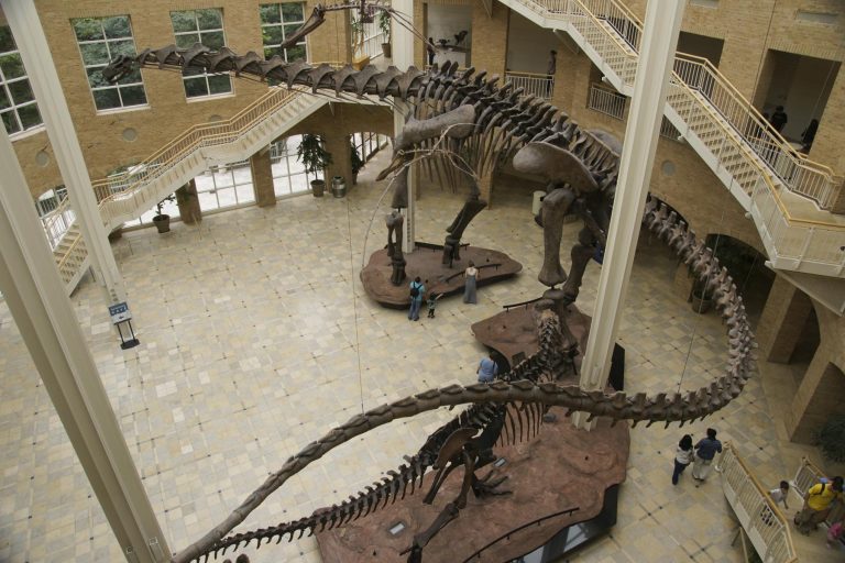 Fernbank Museum of Natural History Photo by Steve Harwood on Flickr 768x512