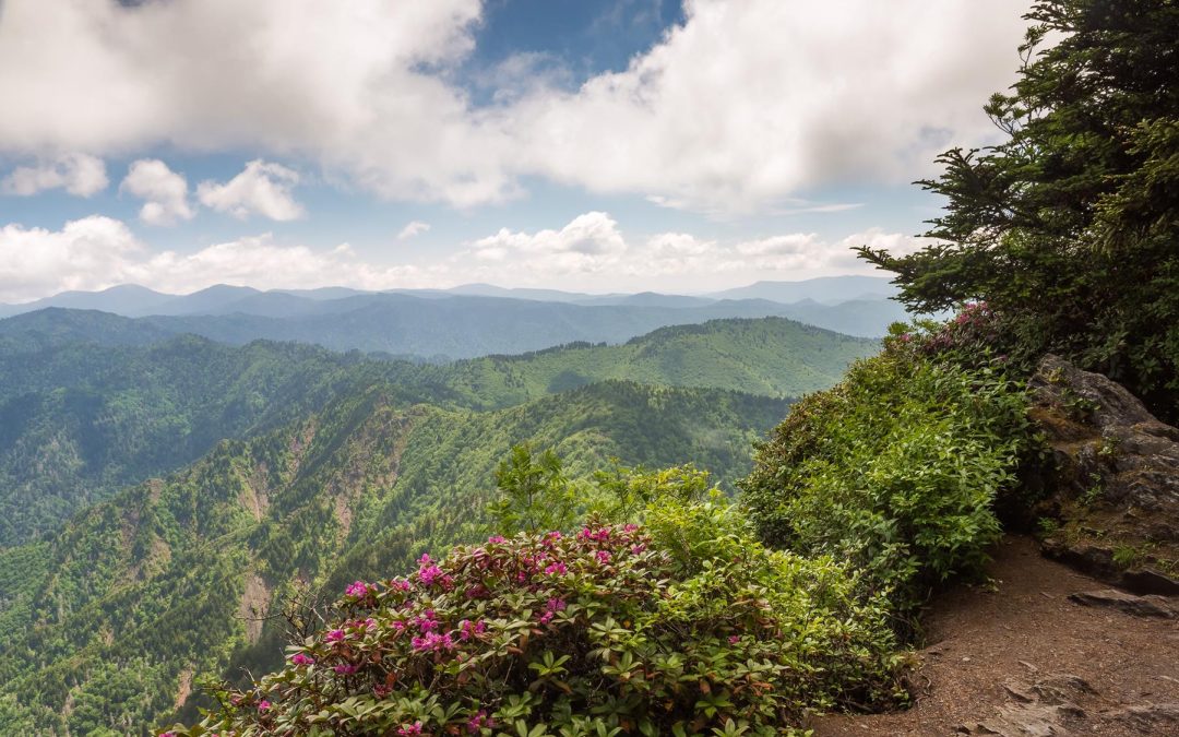 6 Must-See National Parks in the Southeastern United States for Students