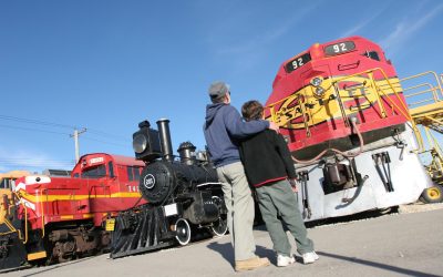 Illinois Railway Museum