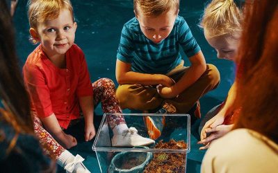 Living Shores Aquarium