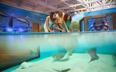 Marine Science Center