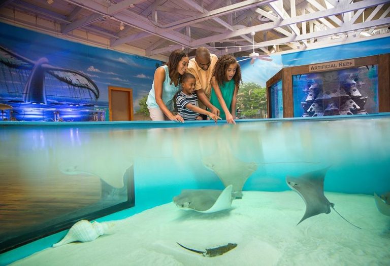 Marine Science Center in Daytona Beach Florida 768x525