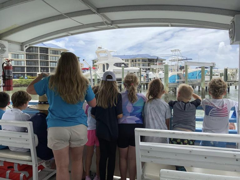 Marine Science Center in Ponce Inlet Florida Valusia County viewing a pod of dolphins on an eco boat ride. Photo credit Marine Science Center Facebook 768x576