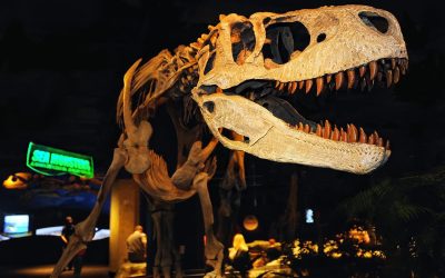 McWane Science Center