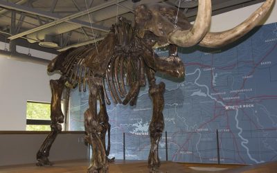 Mid-America Science Museum