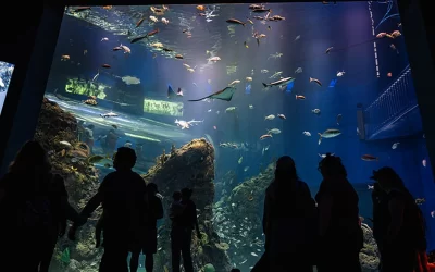 Coastal Mississippi Marvels for Student Groups