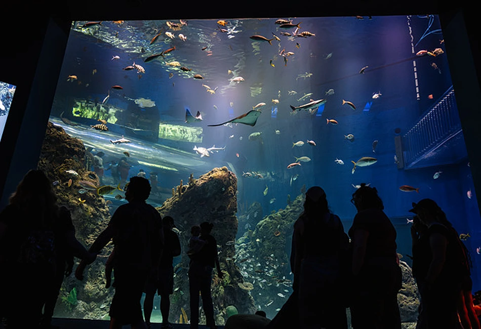 Mississippi-Aquarium-2-copy