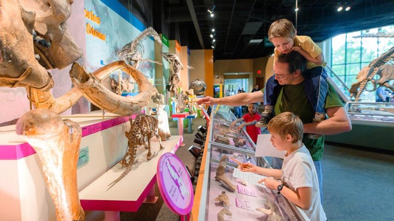 Mississippi Museum of Natural Science dinosaur fossils exhibit. photo credit Mississippi Museum of Natural Science Facebook 768x432