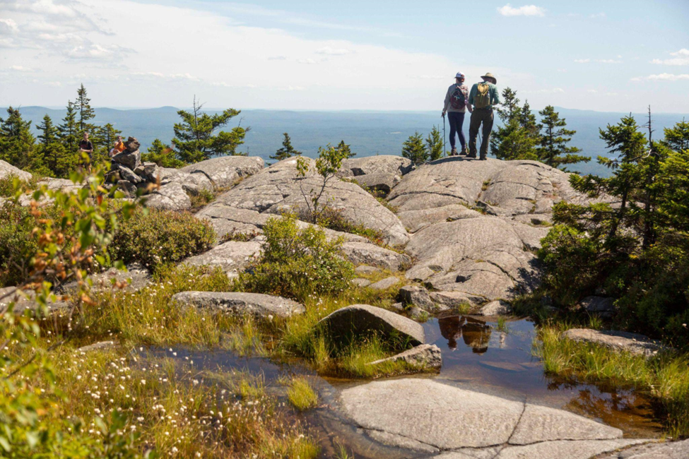 Monadnock State Park. Photo credit NH State Park