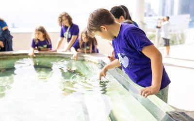 Phillip and Patricia Frost Museum of Science