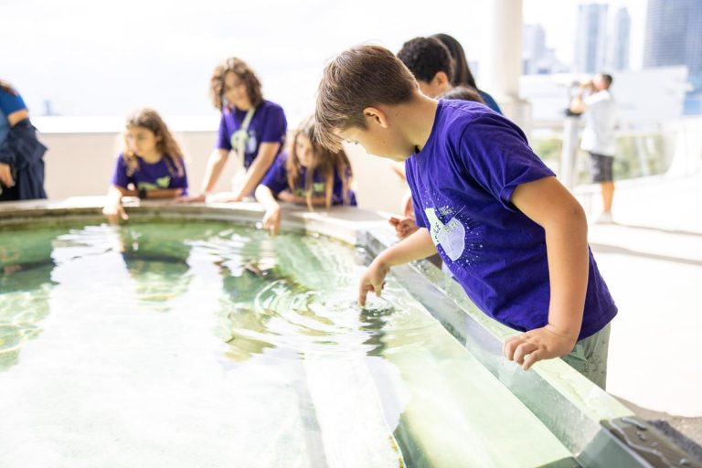 Phillip and Patricia Frost Museum of Science in Florida children on a field trip at the touch tank. Photo credit Phillip and Patricia Frost Museum of Science Facebook 768x512