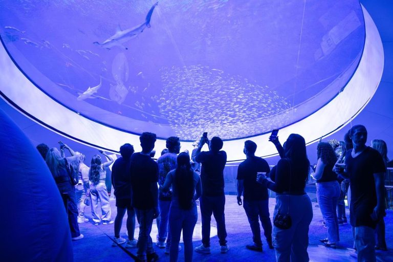 Phillip and Patricia Frost Museum of Science in Florida in the aquarium. Photo credit Phillip and Patricia Frost Museum of Science Facebook 768x512