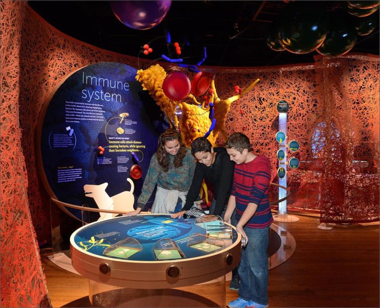 Phillip and Patricia Frost Museum of Science in Florida. Photo credit Phillip and Patricia Frost Museum of Science Facebook 768x623