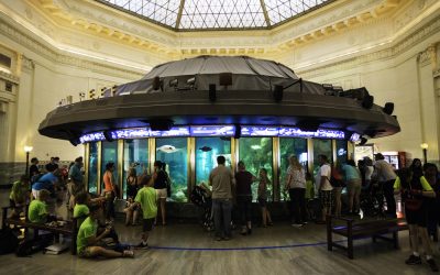 Shedd Aquarium