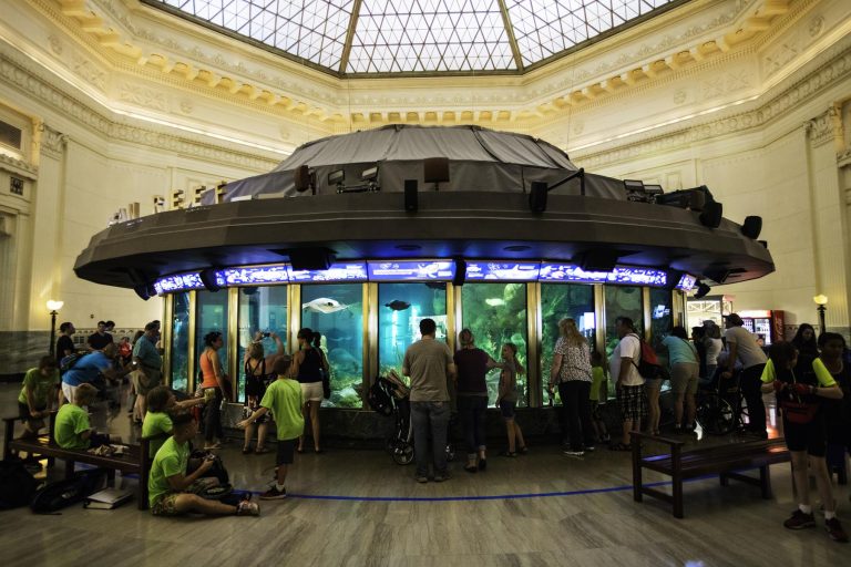 Shedd Aquarium Silo 3 768x512