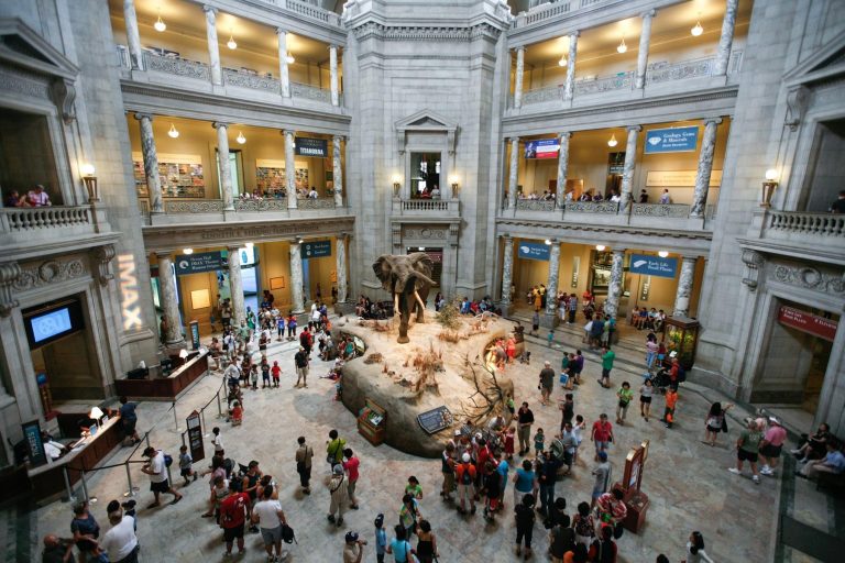 Smithsonian National Museum of Natural History 768x512