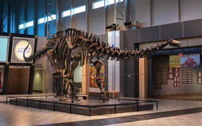 Tellus Science Museum