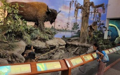 The Bishop Museum of Science and Nature