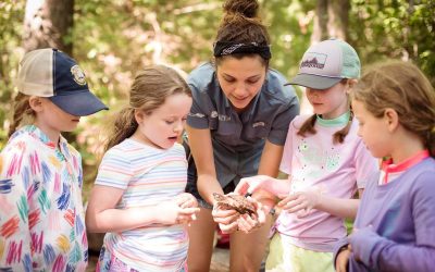 The North Carolina Arboretum