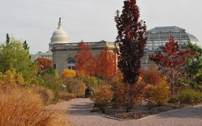 United States Botanic Garden